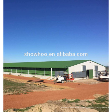 estrutura de aço galpão projeto de baixo custo galinheiro de aves de galinha para frango e porco